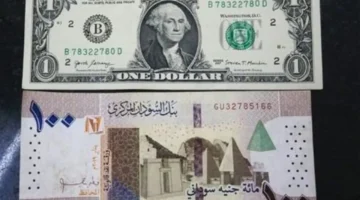 سعر الجنيه السوداني يستقر مقابل الدولار في تعاملات بنك السودان المركزي الخميس 1